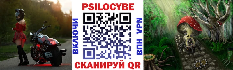 Галлюциногенные грибы ЛСД  hydra ссылка  Зеленогорск 