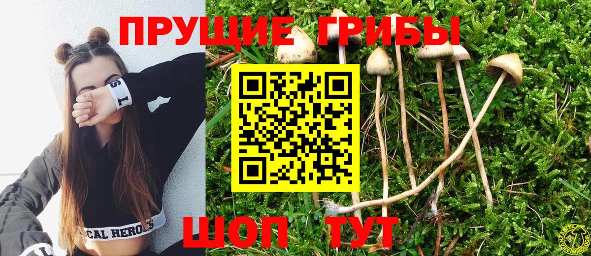Галлюциногенные грибы MAGIC MUSHROOMS Зеленогорск