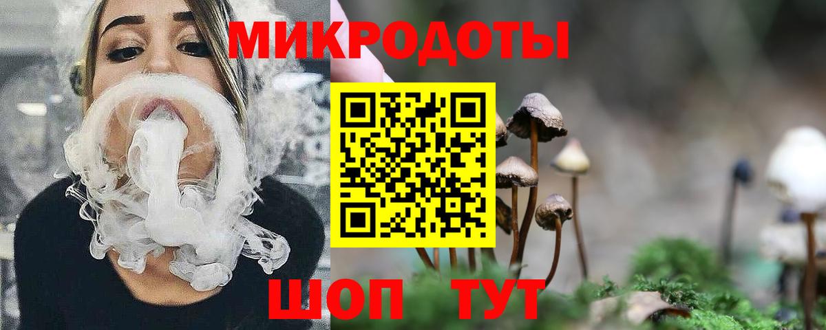 Псилоцибиновые грибы прущие грибы  Вход с VPN  Зеленогорск 